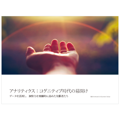 IBMホワイトペーパーの翻訳テキスト入替 ※2017年1月～約3年間 案件発生毎に受託