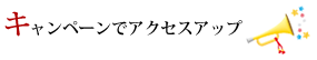 キャンペーンでアクセスアップ