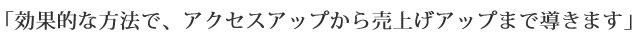 アクセスアップの深いノウハウで売り上げアップを