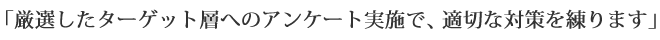 厳選したターゲット層へアンケート実施で、適切な対策を練ります