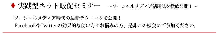 実践型ネット販促セミナー　～ソーシャルメディア活用法を徹底公開！～
